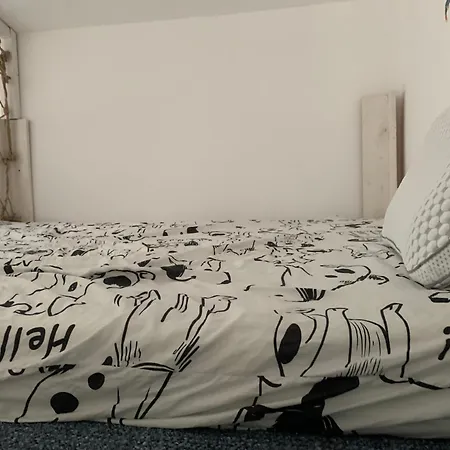 Seaview Young Family - семейство на черно море *